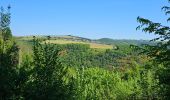 Tour Wandern Goesdorf - Goebelsmühle - Bourscheid - Dirbach - Photo 3