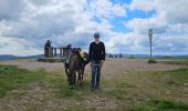 Tour Wandern Xonrupt-Longemer - 2024 RA Vosges J1 Rando âne sur les crêtes - Photo 5