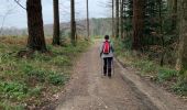 Trail Walking Bouillon - Noordelijke bossen Bouillon 15 km - Photo 14
