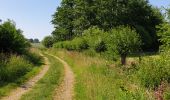 Tour Wandern Grez-Doiceau - Gottechain - Photo 1