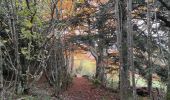 Tocht Stappen Saint-Régis-du-Coin - préparer chaussitre - Photo 2