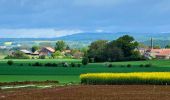 Tocht Stappen Santeuil - De Santeuil à Clery en Vexin - Photo 10