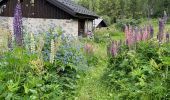 Trail Walking Vallorcine - Vallorcine  - Photo 2