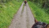 Trail Horseback riding Chasselay - Chasselay 20230423 - Photo 1