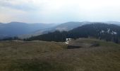 Trail Walking Wasserbourg - Tour du Petit Ballon et des fermes auberges - Photo 12