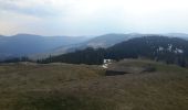 Randonnée Marche Wasserbourg - Tour du Petit Ballon et des fermes auberges - Photo 12