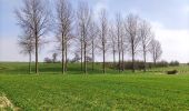 Percorso Marcia Tongeren - Promenade de la beauté cachée à Lauw  - Photo 10