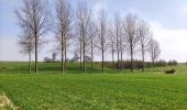 Trail Walking Tongeren - Promenade de la beauté cachée à Lauw  - Photo 10