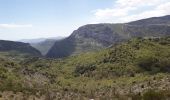 Tour Wandern Courmes - Pic de Courmettes Puy de Tourrettes - Photo 8