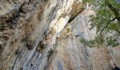 Tour Wandern Venasque - Combes et forêt de Vénasque  - Photo 14