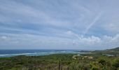 Tour Wandern Le Marin - cap-macré/marabout/cap-macré  - Photo 2