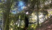 Trail Walking Saulcy-sur-Meurthe - Les roches du Kemberg - Photo 6