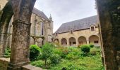 Randonnée Marche Dinan - Balade découverte LEHAN - Hors groupe - Photo 6