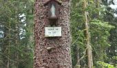 Percorso Marcia Vecoux - circuit vecoux depuis Parking les coucherons passant par 5 chalets - Photo 12