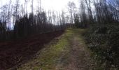 Trail Mountain bike Ham-sur-Heure-Nalinnes - Ham_sur_Heure_Nalinnes_20220313_081531 (1) - Photo 4