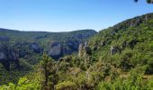 Trail Walking Le Rozier - corniche du Tarn et de la Jonte - Photo 6