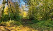 Excursión Senderismo Compiègne - en forêt de Compiègne_43_le Petit Octogone et vers la Faisanderie - Photo 15