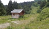 Percorso Marcia Samoëns - plateau des saix . la corne . les biollaires . pointe de cupoire .  plateau des saix - Photo 8