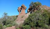 Percorso Marcia Le Muy - Rocher de Roquebrune, Les 2 frères - Photo 2