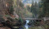 Tour Wandern Triberg im Schwarzwald - Cascade de Triberg 30.10.22 - Photo 4