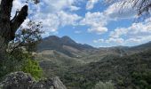 Tour Wandern Argelès-sur-Mer - Mas Cristina: Par les trois mas - Photo 9