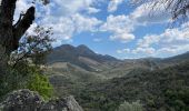 Trail Walking Argelès-sur-Mer - Mas Cristina: Par les trois mas - Photo 9