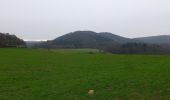 Trail On foot Weinheim - Geopark-Pfad Weinheim-Schriesheim - Photo 9