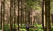 Trail Walking Houffalize - Les deux Ourthes au départ de Filly - Photo 9