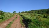 Randonnée Marche Laveissière - Cantal - Cheyrouze (Laveissière) - Puy de Seycheuse - 14.8km 600m 5h35 - 2019 06 30 - Photo 2