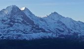 Randonnée A pied Grindelwald - First - Bachalpsee - Fauhlhorn - Schynige Platte - Photo 9