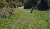 Percorso Marcia Jablines - jablines sept2023 - Photo 3