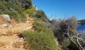 Trail Walking Nice - Ballade chemin des douaniers Nice-Villefranche  - Photo 11