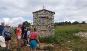 Excursión Senderismo Courmes - Courmes. Le plateau de Saint Barnabé et le champ des Idoles. - Photo 11