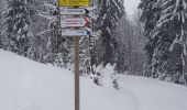 Trail Cross-country skiing Mijoux - puthod - Photo 1