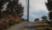 Tocht Stappen Motril - Éoliennes  - Photo 2