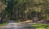 Tocht Mountainbike Libin - Haute Lesse partie 1 - Photo 7