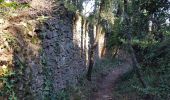 Randonnée Marche nordique Lodève - Chemin des Tines - Col de la Défriche - Photo 17