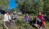 Tour Wandern Collobrières - les sources de la Giscle - Photo 3