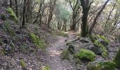 Trail Walking Laroque-des-Albères - laroque . pla d'en guinot . laroque - Photo 19