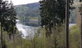 Trail Walking Forbach - Rote Lache - Lac Schwarzenbachstausee - Badener Höhe (Rother n°39) - Photo 4