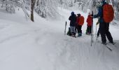 Randonnée Ski de randonnée Saint-Christophe-sur-Guiers - la morte - Photo 16