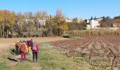 Tour Wandern Abeilhan - Abeilhan coteaux de la Thongue  - Photo 2