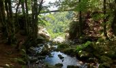 Randonnée Marche Arphy - les cascades d orgon - Photo 7