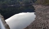 Randonnée Marche Lepuix - Ballon d'Alsace - cascade et lac d'Alfeld - Photo 14