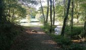 Tour Wandern Bouillon - Belle rando très sportive au départ de Rochehaut  - Photo 16