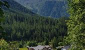 Excursión Senderismo Chamonix-Mont-Blanc - Montroc à Vallorcine  - Photo 15