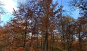 Trail Walking Saint-Germain-en-Laye - Château du Val 24 11 2019 - Photo 5