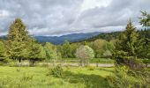 Trail Walking Grendelbruch - Tour du petit Rosskopf & piton du Falkenstein - Photo 2