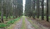 Excursión Senderismo Trois-Ponts - autour de Wannes et Henimont - Photo 8