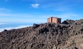 Excursión Senderismo La Orotava - Sommet du Teide - Photo 3